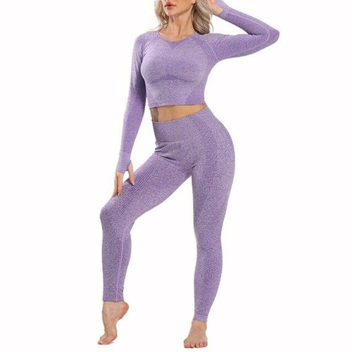 Lilac Seamless Yoga Set Workout Set Active Wear Leggings Set High